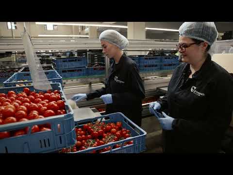 Чего ожидать от Greenpack?