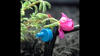 Online Emitter Dripper