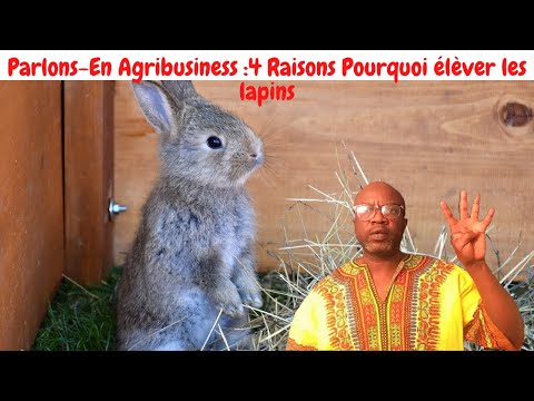 , title : 'Parlons-En Agrobusiness :4 Raisons: Pourquoi élever les lapins, cuniculture, aliments de bétails'