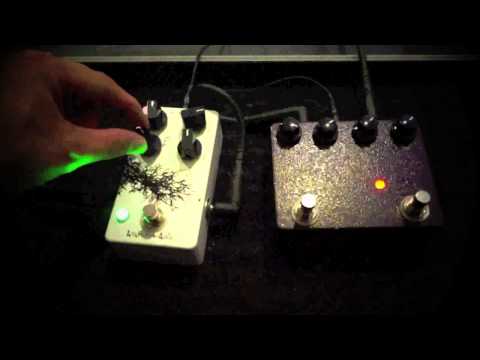 ANARCHY AUDIO ESQUILAX EQ + KING OF TONE Effects Pedal Demo feat. Trevor Jalla