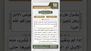 9562 -  حكم الوضوء من الحوض الذي تشرب منه الإبل، والصلاة في معاطنها -  نور على الدرب image