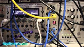 Video thumbnail for Toppobrillo Quantimator eurorack quantizer by bigcitymusic