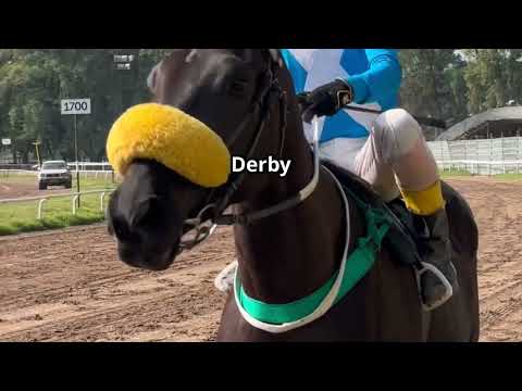 Sovereignty's Stunning Win at the 2025 Kentoky Derby