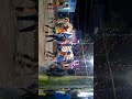 Karakattam 2016 Pirankulam Ammankovil Kodai Nellai