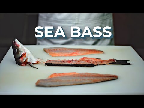 An In-Depth Tutorial - How To Fillet Sea Bass