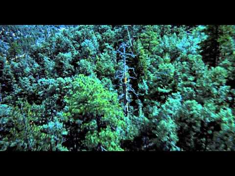 E.T. L'Extra-Terrestre (VF) - Bande Annonce