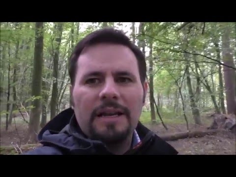 Prayer for healing via video