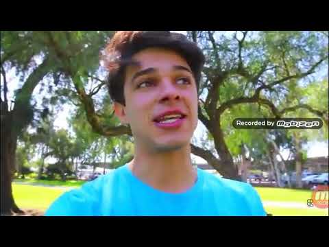 Rip brent dog and other dogs that need help in 2020