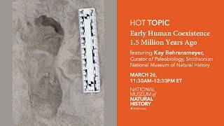 Download lagu HOT (Human Origins Today) Topic: Early Human Coexistence 1.5 Million Years Ago mp3