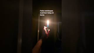 Download lagu fakta yang terlupakan#faktadunia #faktasejarah #kehidupandunia #kehidupan mp3 Download lagu fakta yang terlupakan#faktadunia #faktasejarah #kehidupandunia #kehidupan mp3