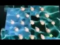 Sesame Street 19 Popcorn Kernels