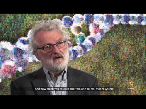 History® - Sequencing the first Human Genome