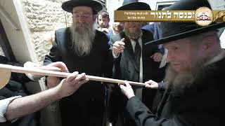 מעמד נדיר של אפיית מצות לישיבת "עטרת שלמה" בחדר לימודו של מרן המשגיח רבי דן סגל שליט"א