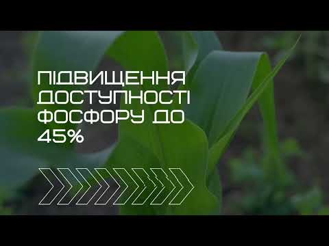 Новинка на рынке Украины! Повышение доступности фосфора до 45%‼️ МУЛЬТИ-БУСТ-S
