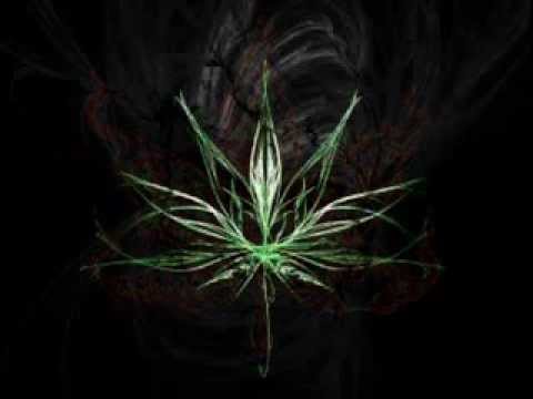 legalizala-estilo bajo