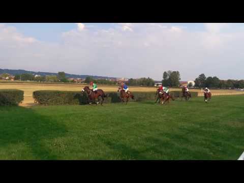 Požarevac: Pehar predsednika Republike