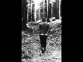 Heidegger liest Hölderlin: 05. Der Ister 