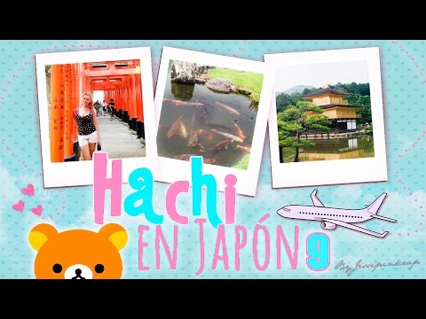 Día 9: Kioto: Templos, muchos templos ♥ #hachienjapon