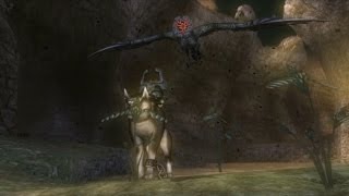 Zelda Twilight Princess HD Tears of Light Walkthrough  Lake Hylia