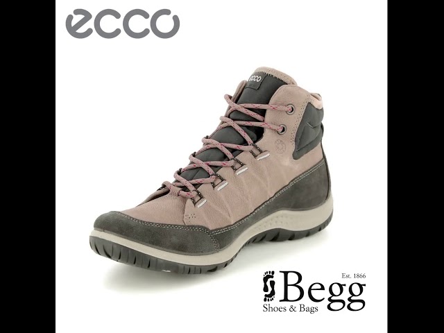 ecco aspina toggle hiking sneaker