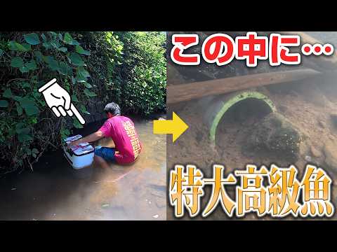 山奥で発見…この中から特大うなぎが‼
