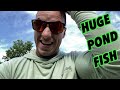 WE HOOKED SOMETHING HUGE! Pond Fishing