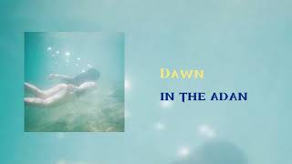 Cover art for Dawn of the adan