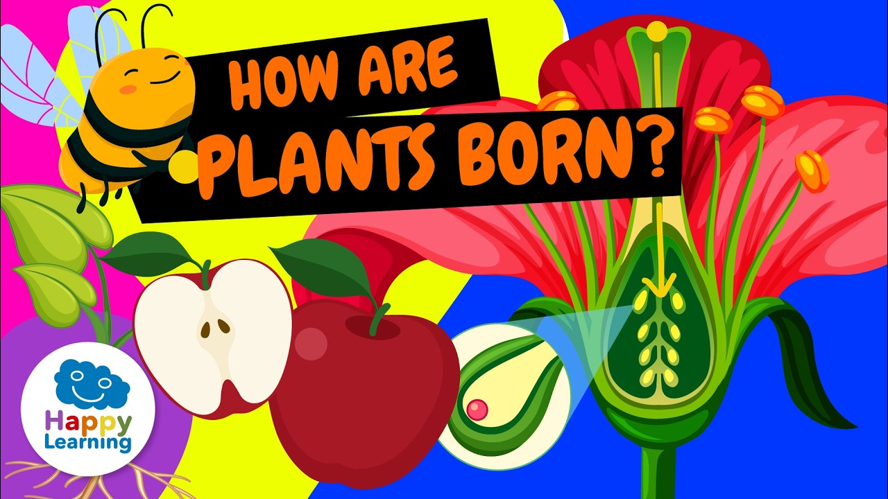 🌸 HOW are NEW PLANTS BORN? POLLINATION and SEXUAL REPRODUCTION | Educational Videos @HappyLearningEN
