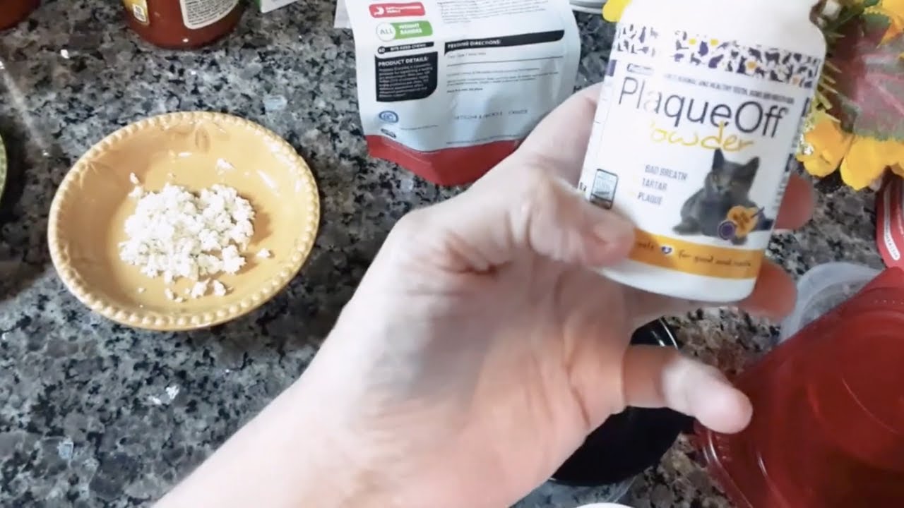 Watch video Trying Plaque Removal for Cats Now Trying Plaque Removal for Cats