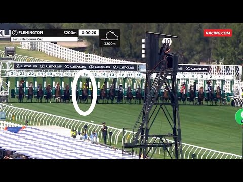 Without A Fight - 2023 Melbourne Cup HD Replay