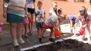 Деца сами отглеждат зеленчуци и подправки в димитровградските детски градини