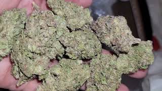 Gush Mintz THCa Flower by Happy Shaman