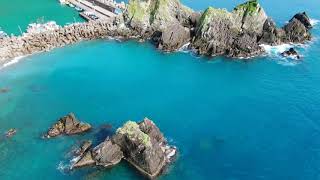 粉鳥林魚港
