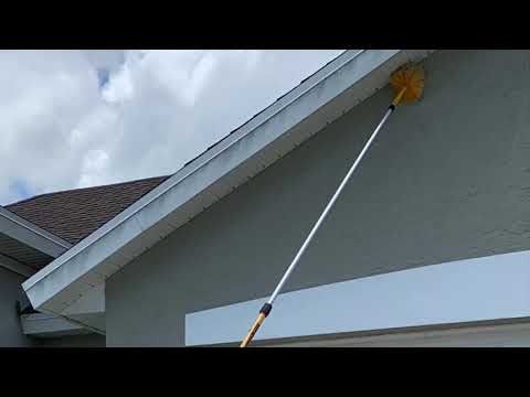 ProControl Management Services Exterior Pest Control