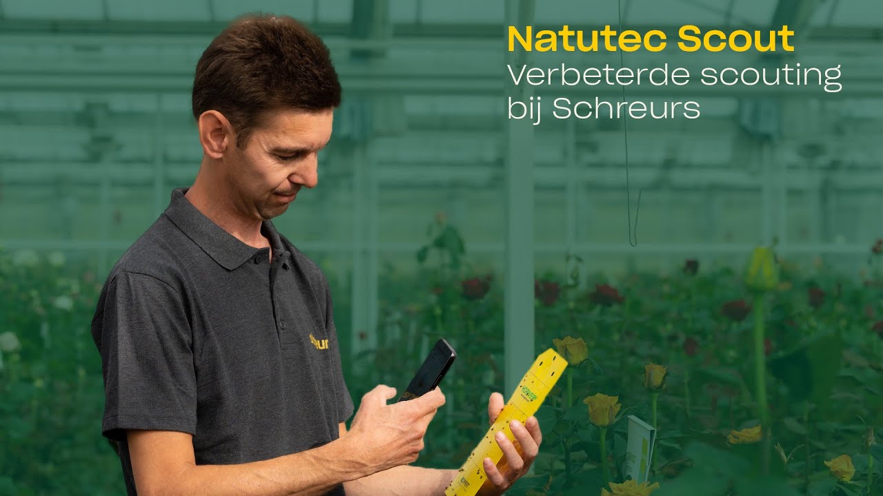 Video preview poster