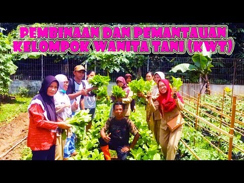Berapa banyak untuk menggairahkan kata Wanita Benjolan merah kecil di penis yang dapat