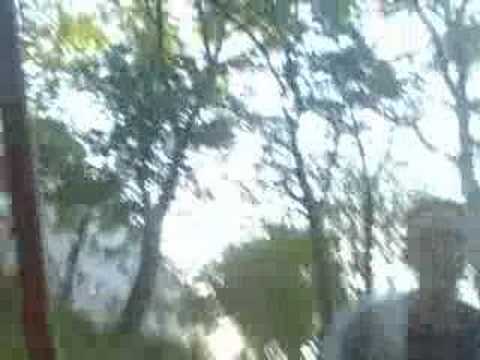 2 Mikimäuse und Ich im Pascho-Park