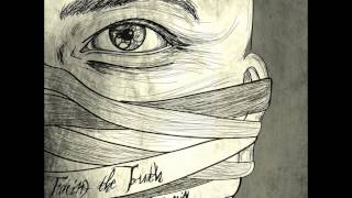 Facing the Truth   Swansong on a planecrash