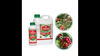 Download the video "Ekirime ky'emmwanyi kyetaaga ebiriisa ebyesigika okusobola okukuwa amakungula amalungi."