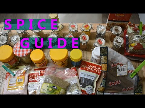 Hofstadter's Guide to Indian Food | Episode 1 | Spices