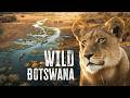 THIS Is The African Safari To Go On Botswana S Okavango Delta