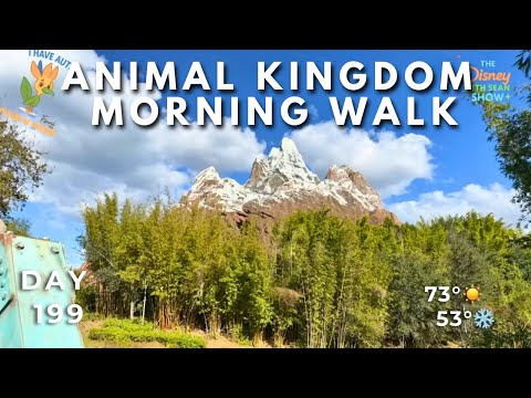 Live webcam of The Disney With Sean Show