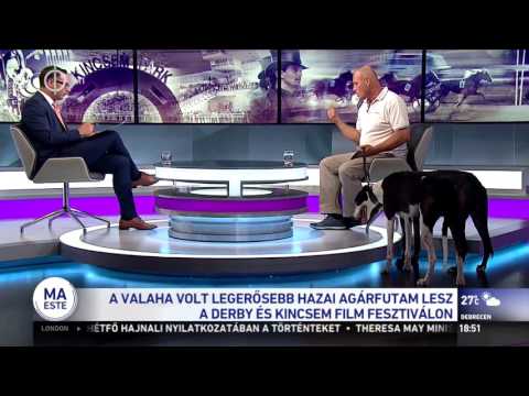 Ma este, 2017. 06. 19-i adás - agárverseny