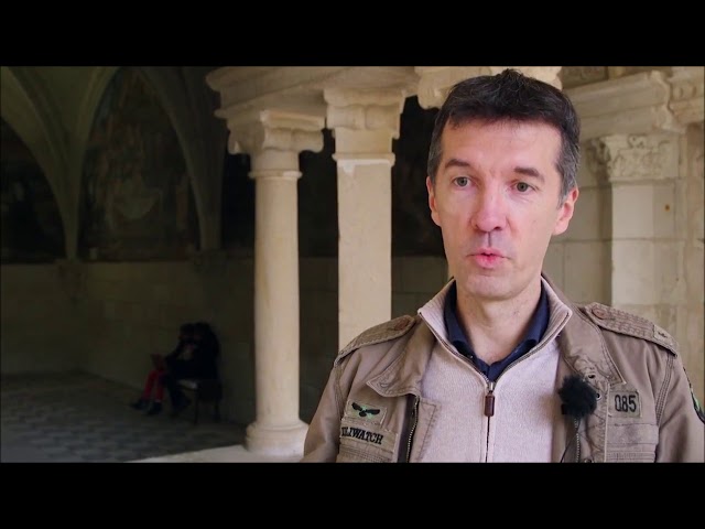 Franchise Cavavin : les forces d’un concept clé en main