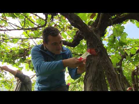 RAI Südtirol "Land & Leben" - Sendung vom 14. Oktober 2021