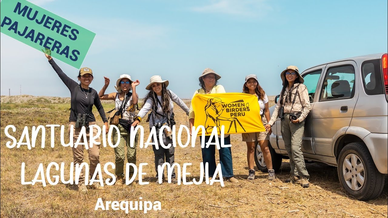 Women Birders | Arequipa LAGUNAS DE MEJIA