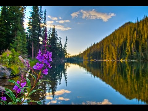Peaceful Music, Relaxing Music, Instrumental Music, "Reflections" by Tim Janis.