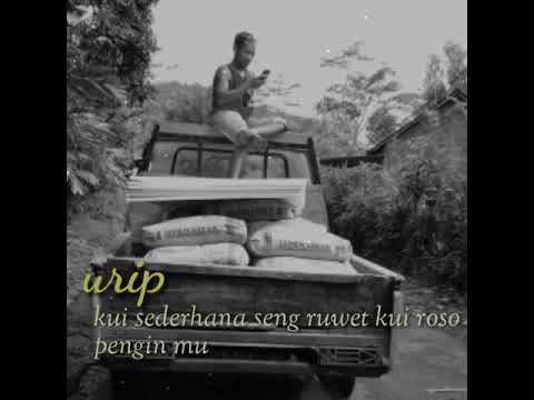 By shusanto botagearista