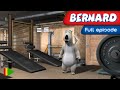 Bernard Bear 01 The Gym Full Episode