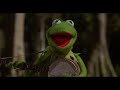 Kermit The Frog On My Pond AMV